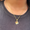 Clove Necklace