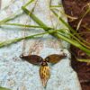 Golden Petals - Mix, Match or Set! - Image 3